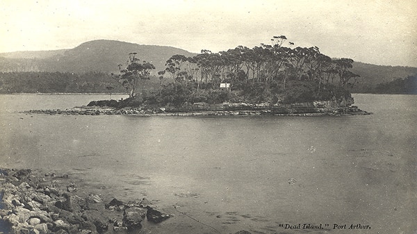 Black and white photo of a small, bushy island