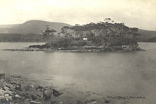 Black and white photo of a small, bushy island
