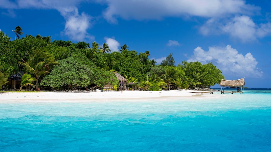 Crystal blue waters and a pristine sandy beach next to a cluster of lush green trees.