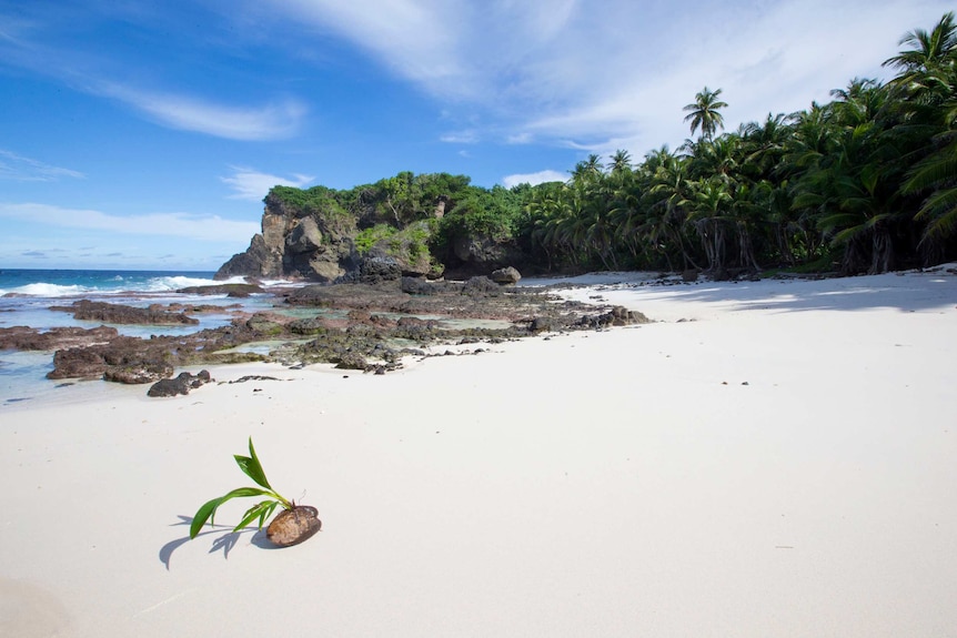 A nice looking beach