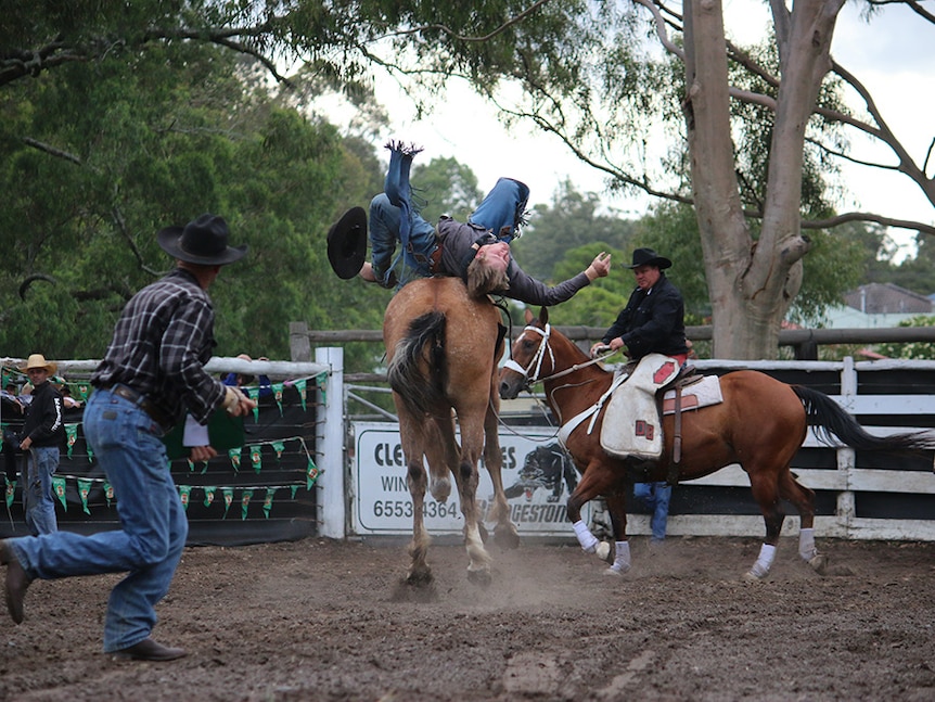Cowboy's black hat flies off as he hangs onto a bucking brown horse.