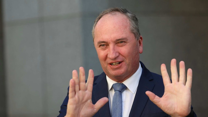 Barnaby Joyce holds up 10 fingers while standing in a courtyard at Parliament House
