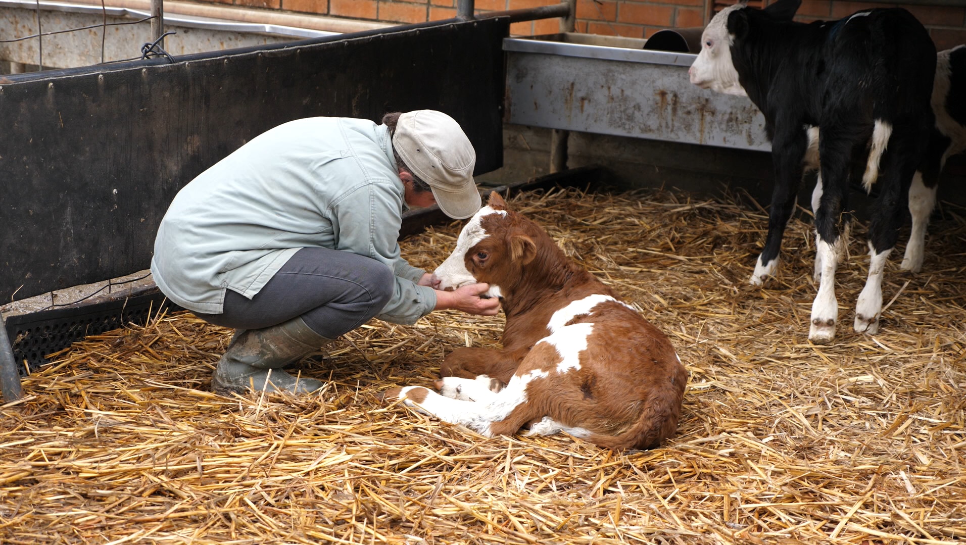 Lesbians Milking Each Other