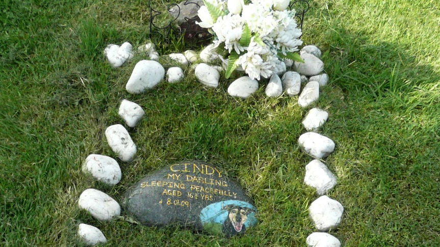 Some stones in a garden marking a pet grave