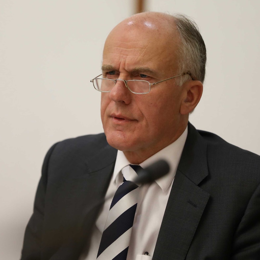Eric Abetz, wearing a black suit with a white shirt and black and white striped tie, stares intently with a furrowed brow.