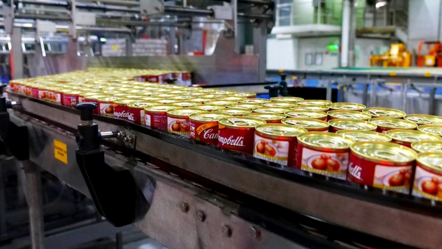 Cans of soup on a production line in a soup making factory