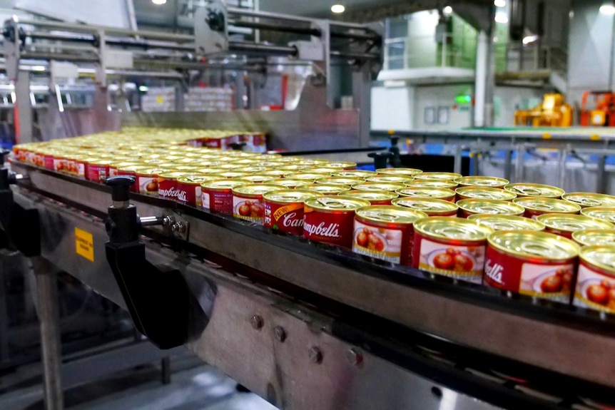 Cans of soup on a production line in a soup making factory