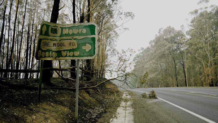 Princes Highway south of Nowra