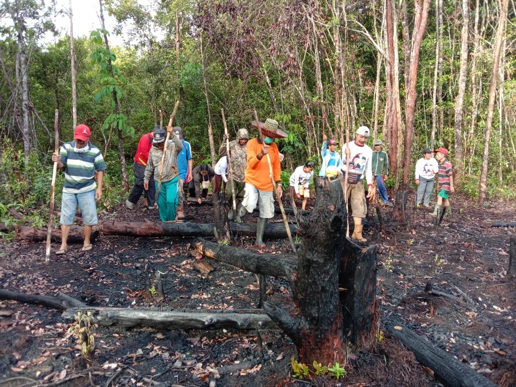 Proses menugal (muau)