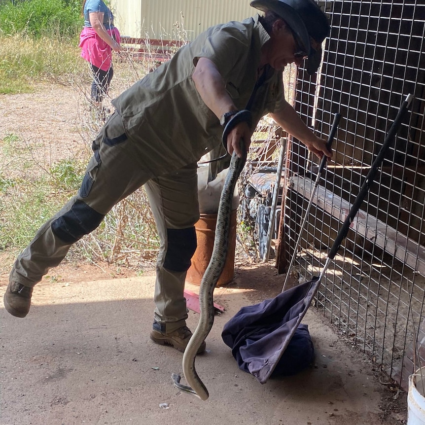 Woman in hat catches a snake