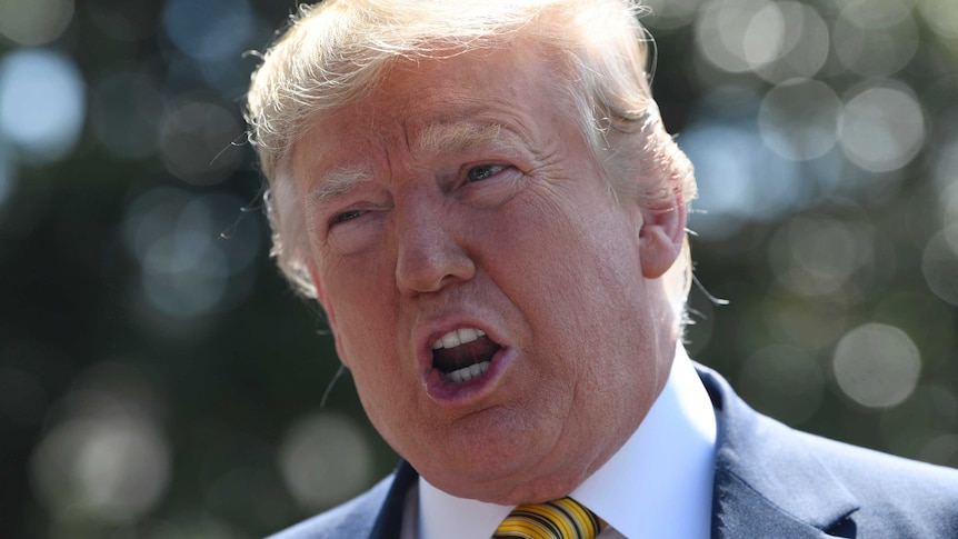 In a close-up photo, sun shines on Donald Trump's head as he speaks.