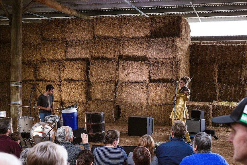 Performers at Acoustic Life of Sheds