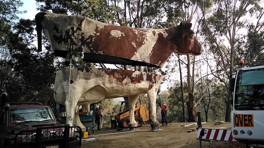 A large concrete cow in two pieces is lowered by crane