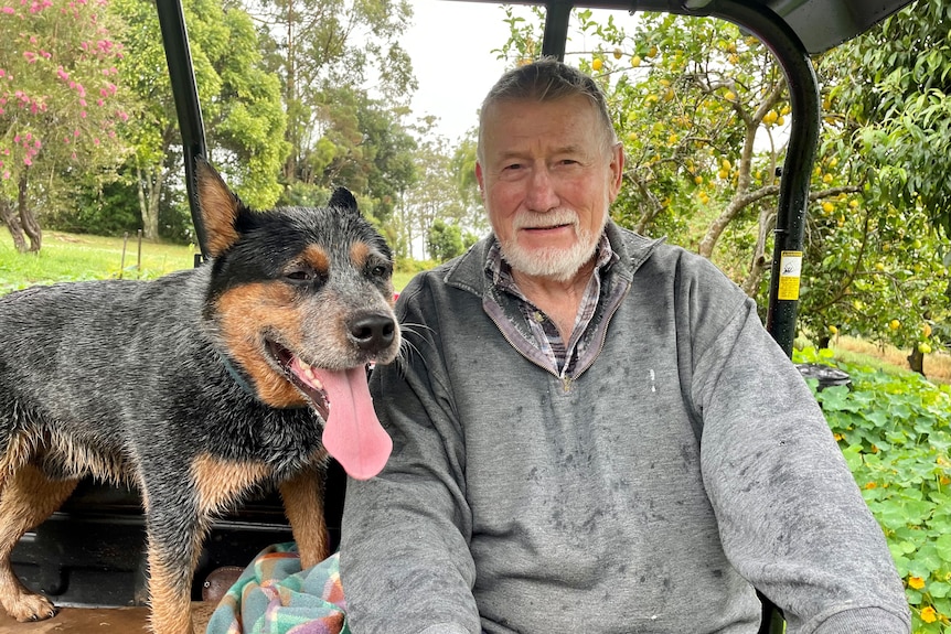 An older man in a grey top sits on a farm vehicle with his dog.