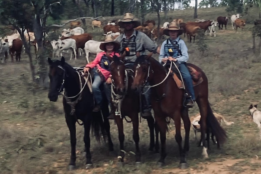 A man and two children on horseback in the outback with cattle behind them