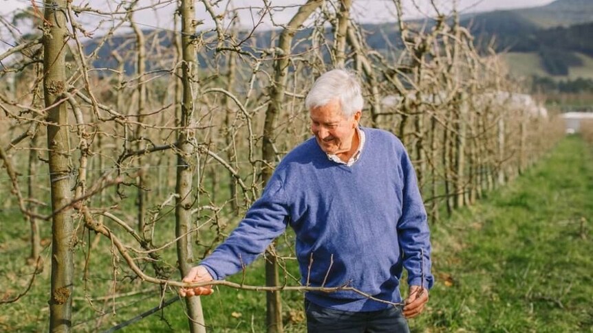 Apple grower Ian Smith from the Huon Valley
