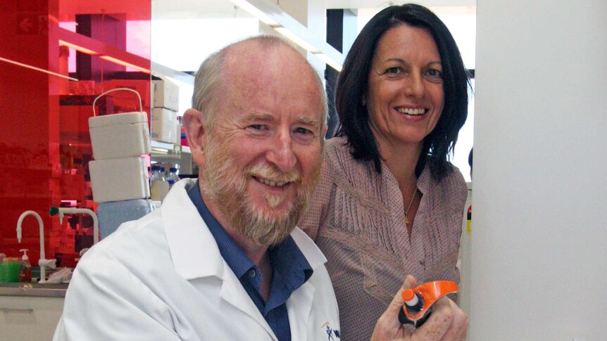 Diabetes researchers in their WA laboratory