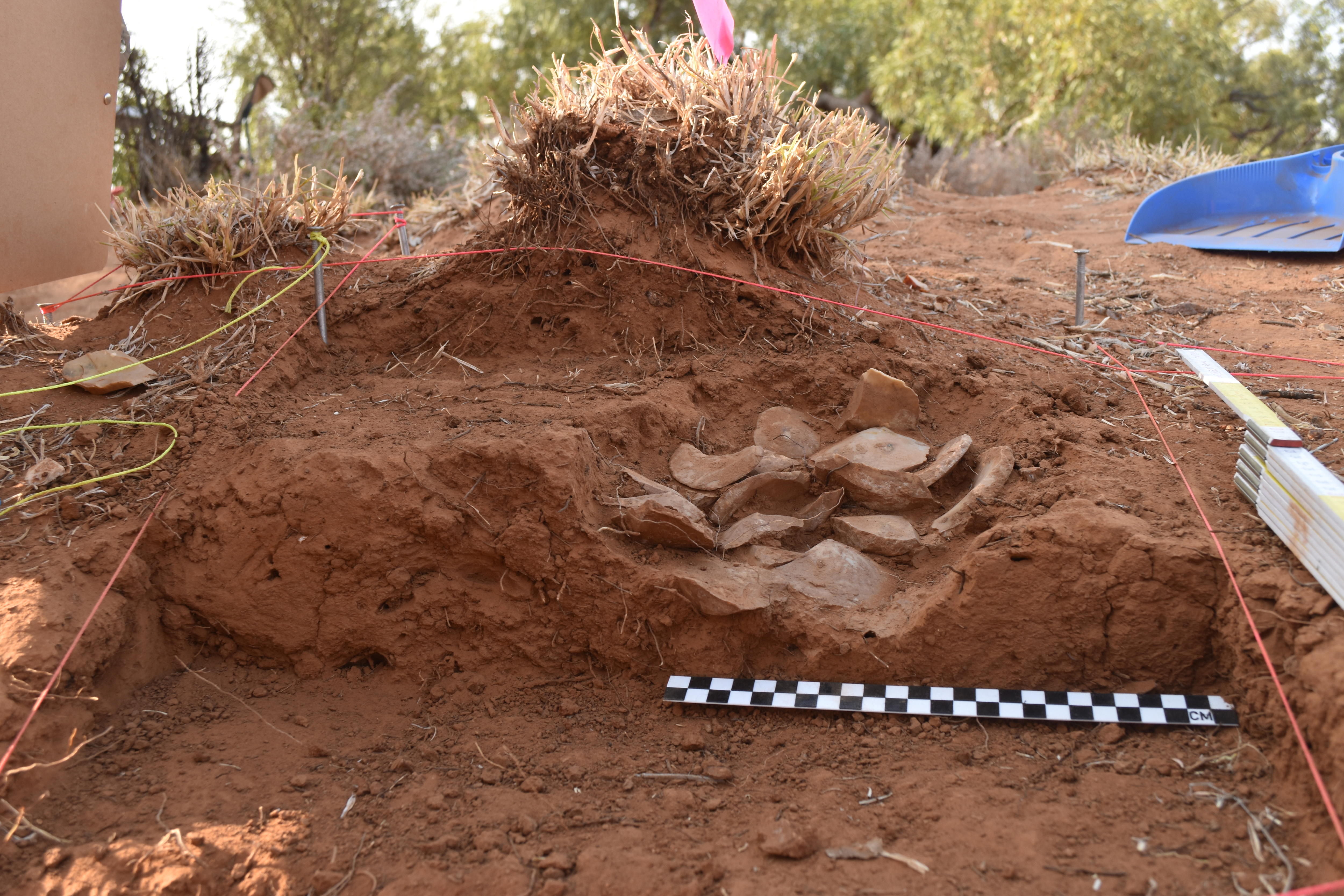 a pile of stone tools partially uncovered from red outback dirt, next to an archaeological meter scale
