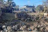 Damaged buildings and debris after a tsunami