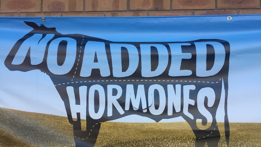 Banner reads No Added Hormones in large letters within the shape of a cow