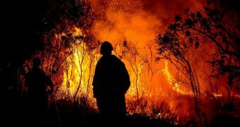 Man patrols bushfire