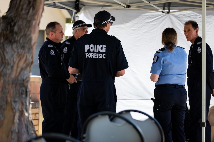 Police officers stand underneath a forensic tent