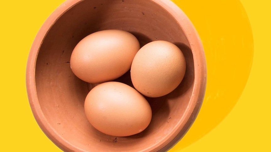 Eggs in a bowl for a story on cooking and using chicken eggs