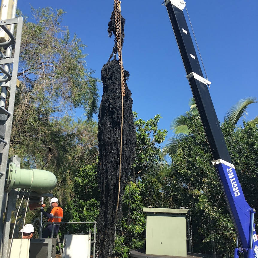 An enormous fatberg being lifted by a crane.