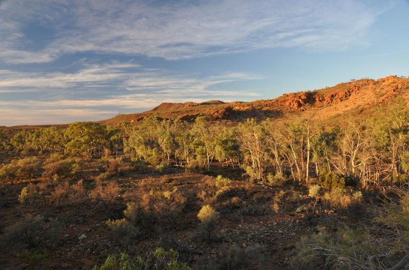Arkaroola wilderness bid for UN recognition - ABC News