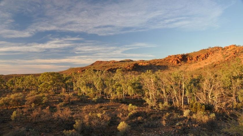 Arkaroola region