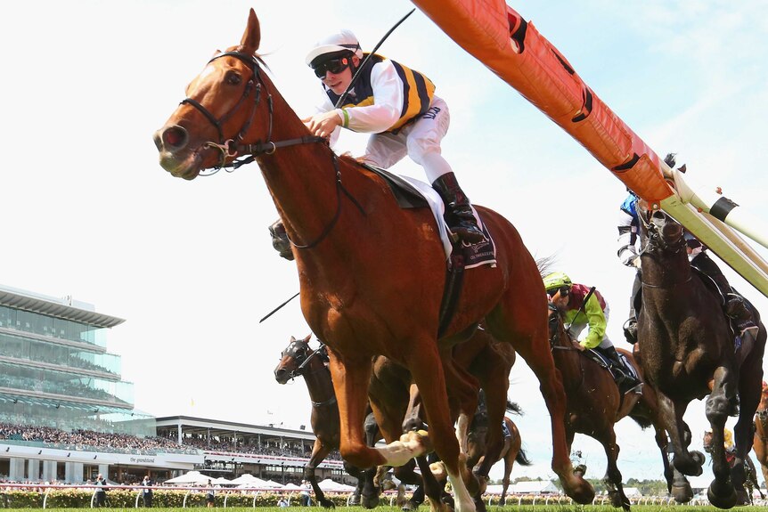 Jockey Ben Melham rides Gailo Chop to win the Mackinnon Stakes at Flemington on Derby Day 2015.