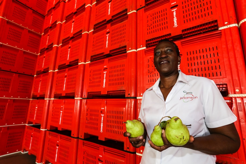 Olabisi Oladele standing in front of a wall of bright red fruit bins.