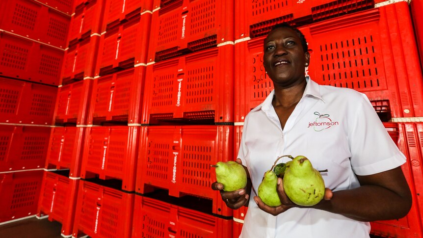 Olabisi Oladele standing in front of a wall of bright red fruit bins.
