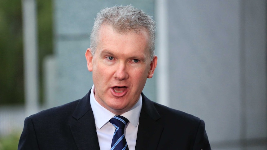 Tony Burke mid-sentence while speaking to reporters at Parliament House.