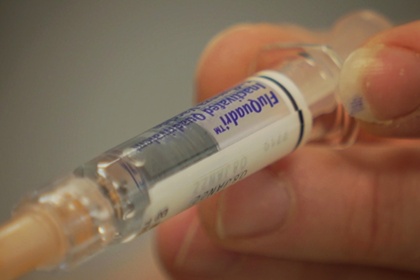 A hand holds a transparent vial containing a flu vaccine.