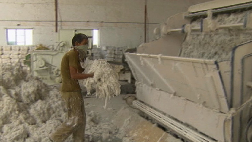 Worker in asbestos factory near Ahmedabad scoops up armfuls of raw asbestos.