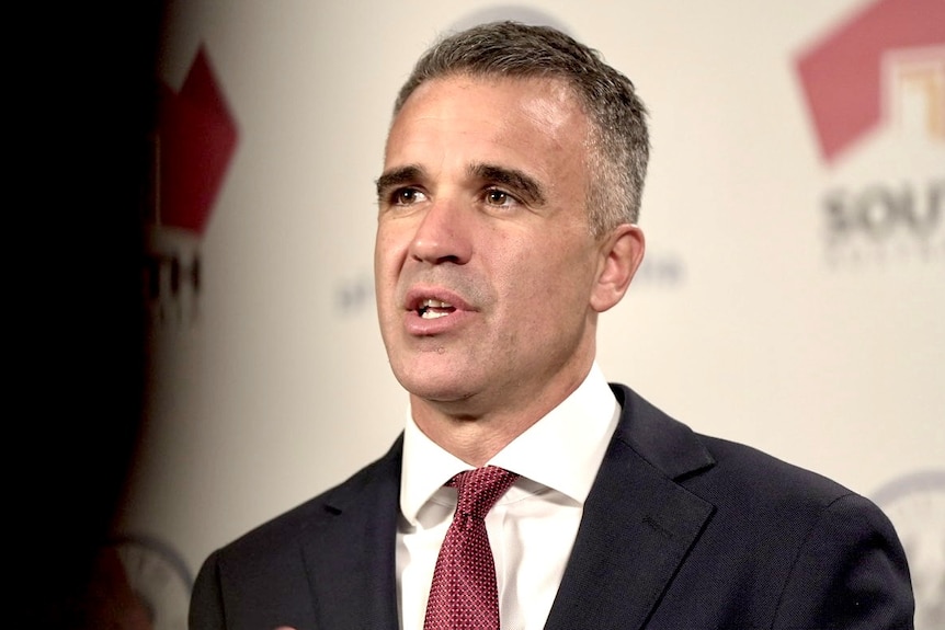 A man with dark, short hair and a serious expression speaks in front of SA government backdrop.