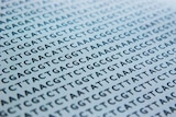 Genome letters