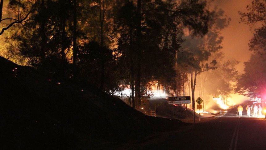 Emergency authorities at scene of massive bushfire at night at Eungella, near Mackay.