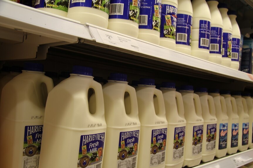Harvey Fresh milk products on a supermarket shelf