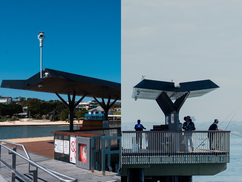 Sydney's '$78 million question': Why two wharves still have no ferry service