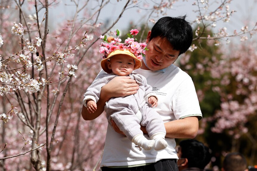 A man holds a baby in a grove of blossoming trees.