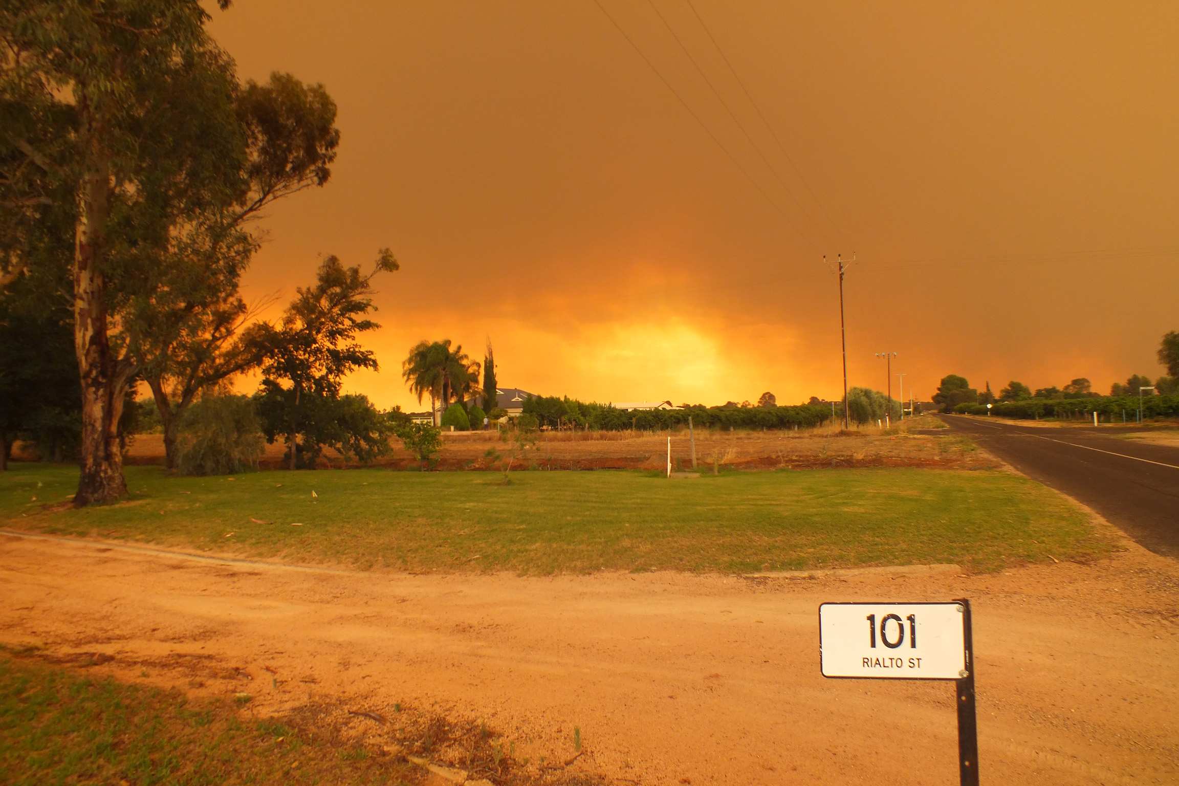 After the fires South Australia moves into bushfire recovery ABC News
