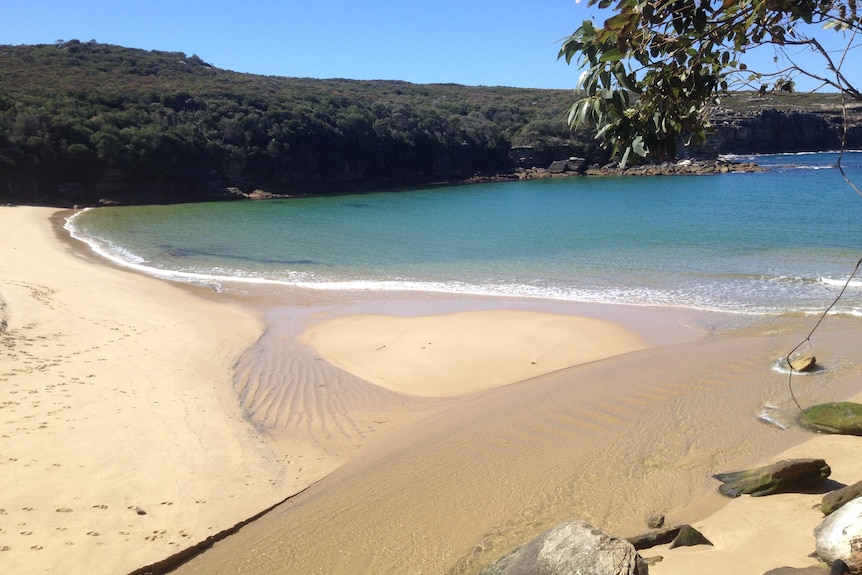 Beach with crystal blue water on the south coast of Sydney.