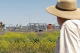 Cecil Plains farmer Doug Brown stands with his back to the camera looking at a cluster of gas wells near his farm, October 2021.