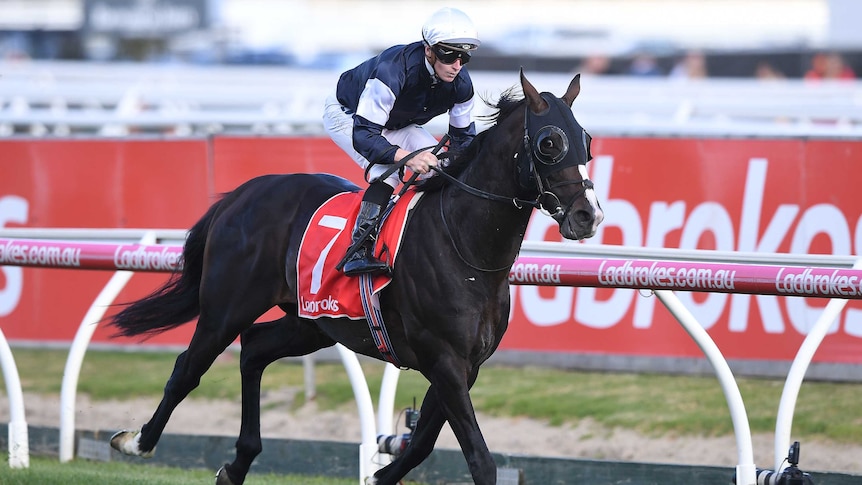 James McDonald rides Yucatan to win the Herbert Power Stakes at Caulfield on October 13, 2018.