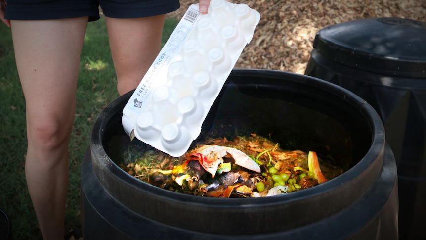 A person empties an egg carton into a compost bin
