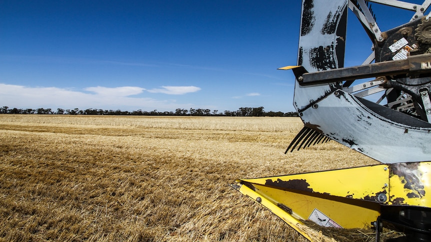 A header in a paddock during Victoria's bumper 2016-17 grain harvest.