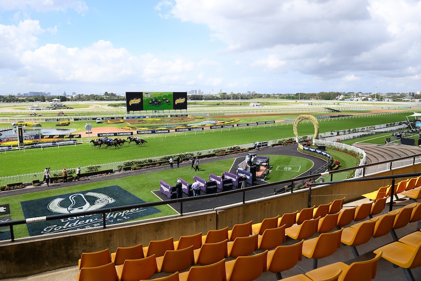 A picture of a horse racing course taken from the grandstand.