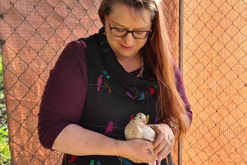 Angela is a woman with long hair, holding a pale-coloured quail in her hands. Angela's head is bowed looking at the bird.